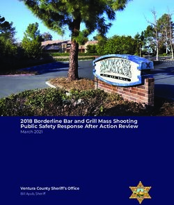 2018 Borderline Bar and Grill Mass Shooting Public Safety Response After Action Review - March 2021