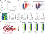 In vitro responses to platelet rich plasma are associated with variable clinical outcomes in patients with knee osteoarthritis