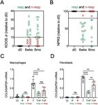 In vitro responses to platelet rich plasma are associated with variable clinical outcomes in patients with knee osteoarthritis