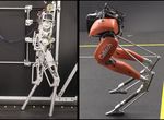 Learning Controller Gains on Bipedal Walking Robots via User Preferences - arXiv