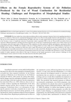 Effects on the Female Reproductive System of Air Pollution Produced by the Use of Wood Combustion for Residential Heating: Challenges and ...