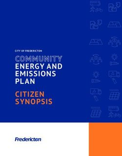 COMMUNITY ENERGY AND EMISSIONS PLAN CITIZEN SYNOPSIS - CITY OF FREDERICTON