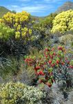 Natural World Heritage in Africa - PROGRESS AND PROSPECTS - Donors & Implementing Partners - IUCN Portal