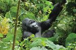 Natural World Heritage in Africa - PROGRESS AND PROSPECTS - Donors & Implementing Partners - IUCN Portal