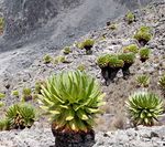 Natural World Heritage in Africa - PROGRESS AND PROSPECTS - Donors & Implementing Partners - IUCN Portal