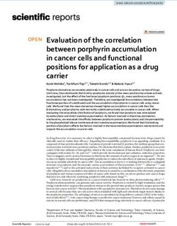 Evaluation of the correlation between porphyrin accumulation in cancer cells and functional positions for application as a drug carrier