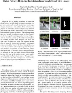 Digital Privacy: Replacing Pedestrians from Google Street View Images