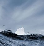 UK PRODUCT RANGE - Royal Greenland