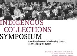 INDIGENOUS COLLECTIONS SYMPOSIUM - Promising Practices, Challenging Issues, and Changing the System - Ontario Museum ...