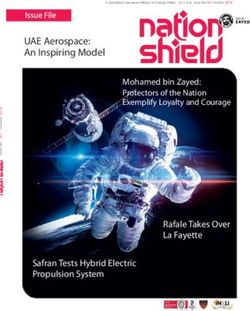 UAE Aerospace: An Inspiring Model