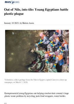 Out of Nile, into tile: Young Egyptians battle plastic plague