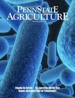 Stopping the Spread | The Case of the Missing Bees Organic Agriculture: Ideal for Pennsylvania? - Winter/Spring 2008