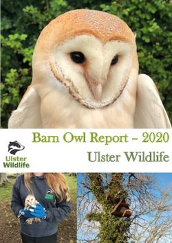 Barn Owl Report - 2020 Ulster Wildlife
