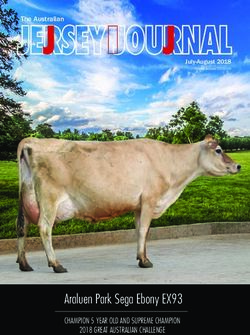 JERSEY JOURNAL - Araluen Park Sega Ebony EX93 CHAMPION 5 YEAR OLD AND SUPREME CHAMPION - Jersey Australia