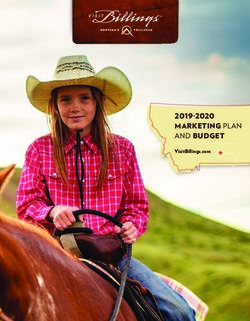 MARKETING PLAN AND BUDGET - VisitBillings.com - Visit Billings