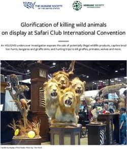 Glorification of killing wild animals on display at Safari Club International Convention