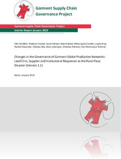 Garment Supply Chain Governance Project - Freie Universität Berlin