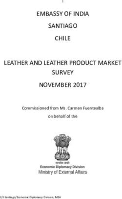 EMBASSY OF INDIA SANTIAGO CHILE LEATHER AND LEATHER PRODUCT MARKET SURVEY NOVEMBER 2017 - Commissioned from Ms. Carmen Fuentealba on behalf of