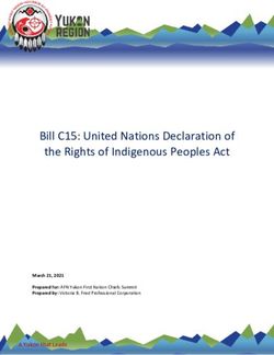 Bill C15: United Nations Declaration of the Rights of Indigenous Peoples Act - A Yukon that Leads
