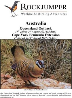 Australia Queensland Outback - Rockjumper Birding