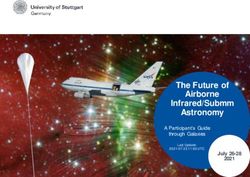 The Future of Airborne Infrared/Submm Astronomy - DSI