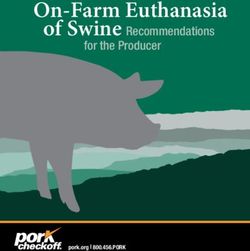 On-Farm Euthanasia of Swine Recommendations for the Producer - pork.org | 800.456.PORK - American ...