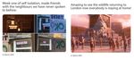 CASE CARDS WHICH DIGITAL STRATEGIES MAKE SENSE IN A MUSEUM AND HOW CAN THEY ENHANCE ANALOGUE FORMATS?/HOW CAN DIGITALISATION BE INTEGRATED IN A ...