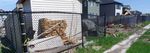 FORT MCMURRAY WILDFIRE: LEARNING FROM CANADA'S COSTLIEST DISASTER - SEPTEMBER 2019 - THE INSTITUTE FOR CATASTROPHIC LOSS ...