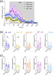 Selective block of adenosine A2A receptors prevents ischaemic-like effects induced by oxygen and glucose deprivation in rat medium spiny neurons