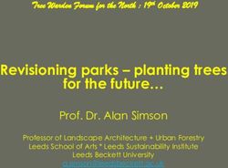 Revisioning parks - planting trees for the future