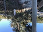 WEEKLY COUNCIL MAIL - Date: 4/30/2020 - City of Thousand ...