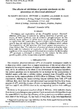 The effects of inhibition of protein synthesis on