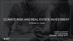 CLIMATE RISK AND REAL ESTATE INVESTMENT - A Global ULI Study Lisette van Doorn CEO ULI Europe Brussels, 16 May 2019
