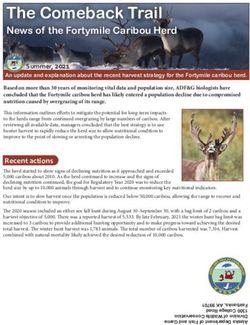 The Comeback Trail News of the Fortymile Caribou Herd