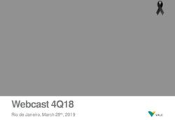 Webcast 4Q18 Rio de Janeiro, March 28th, 2019 - Vale.com