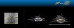 Noninvasive 3D imaging Using Optical Coherence Tomography - GEN Protocols
