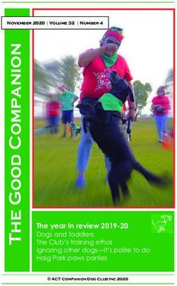 The year in review 2019-20 - Dogs and toddlers The Club's training ethos Ignoring other dogs-it's polite to do Haig Park paws parties - The Good ...