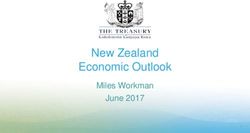 New Zealand Economic Outlook - Miles Workman June 2017 - Audit New Zealand