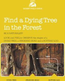 Find a Dying Tree in the Forest - BE A NATURALIST! LOOK and FEEL to OBSERVE the stages of a DYING TREE, a STANDING SNAG and a ROTTING LOG