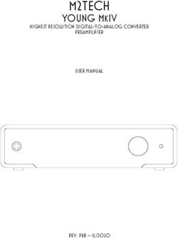 M2TECH YOUNG MKIV HIGHEST RESOLUTION DIGITAL-TO-ANALOG CONVERTER PREAMPLIFIER USER MANUAL