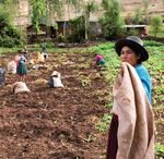 The importance of scaling up for agricultural and rural development - IFAD OCCASIONAL PAPER