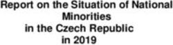 Report on the Situation of National Minorities in the Czech Republic in 2019