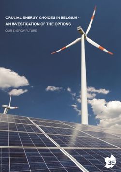 CRUCIAL ENERGY CHOICES IN BELGIUM - AN INVESTIGATION OF THE OPTIONS - OUR ENERGY FUTURE - Squarespace
