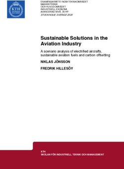 Sustainable Solutions in the Aviation Industry
