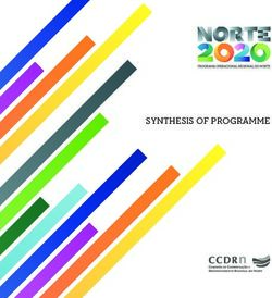 SYNTHESIS OF PROGRAMME - Norte 2020