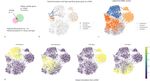 Harmonization and Annotation of Single-cell Transcriptomics data with Deep Generative Models - bioRxiv