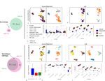 Harmonization and Annotation of Single-cell Transcriptomics data with Deep Generative Models - bioRxiv