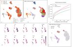 Harmonization and Annotation of Single-cell Transcriptomics data with Deep Generative Models - bioRxiv