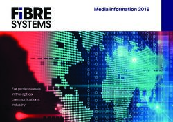 Media information 2019 - For professionals in the optical communications industry - Fibre Systems