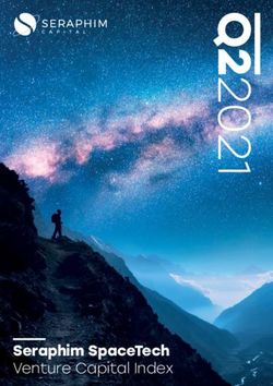 SERAPHIM SPACETECH VENTURE CAPITAL INDEX